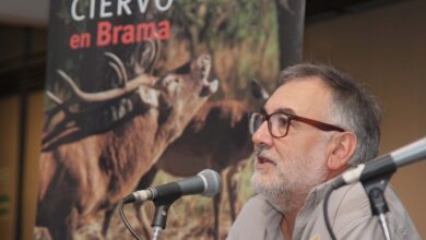 Photo of Se presentó la Temporada de Avistaje de Ciervos en Brama 2022